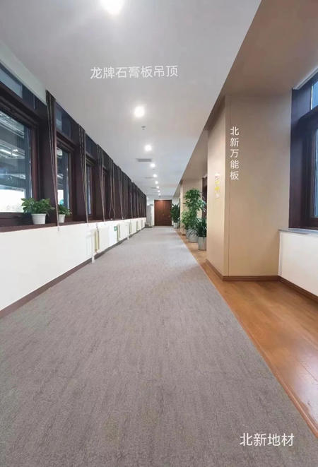 科技部點讚送錦旗！北新建材高品質產(chan) 品和服務獲表揚