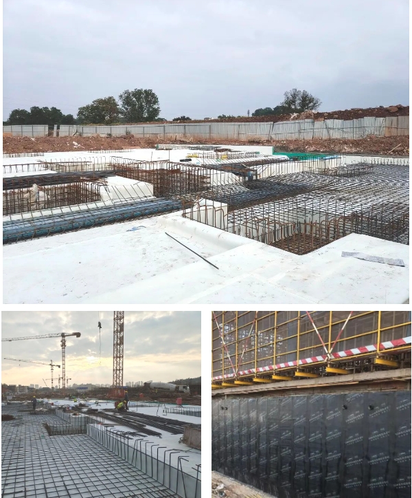 三棵樹防水助力贛州市章貢區水西老街鄉(xiang) 村振興(xing) 項目建設