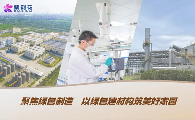 載譽而歸 實力見證丨紫荊花又雙叒叕榮獲第十五屆金漆獎三項大獎！