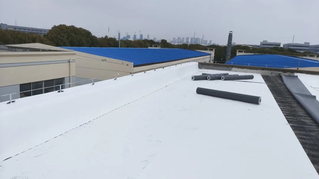 三棵樹TPO防水卷材助力蘇州俊峰工業(ye) 廠房屋麵修繕項目