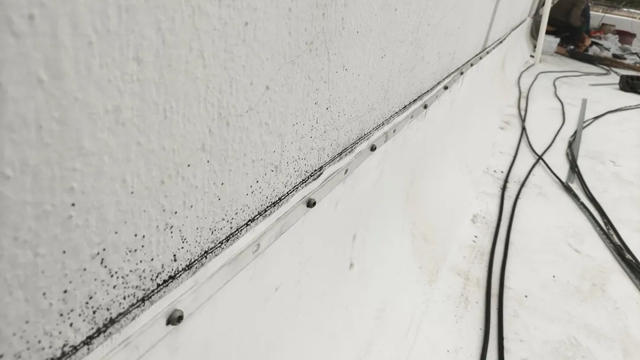 三棵樹TPO防水卷材助力蘇州俊峰工業(ye) 廠房屋麵修繕項目