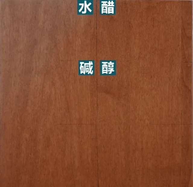 嘉寶莉水性全啞抗劃新品重磅來襲！