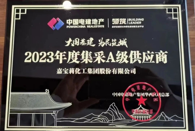 高品質獲肯定！嘉寶莉獲電建地產(chan) 年度集采A級供應商