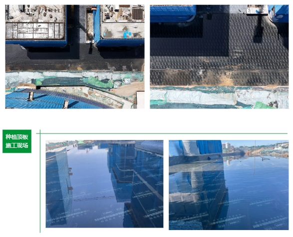 三棵樹防水助力石家莊市國際生物醫藥園科技創新穀項目二期建設