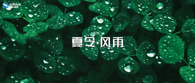 四方威凱發布2024夏季新顏色