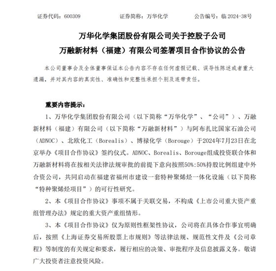 入股、增持還不夠！中東(dong) 富豪牽手化學茅合資投建新項目