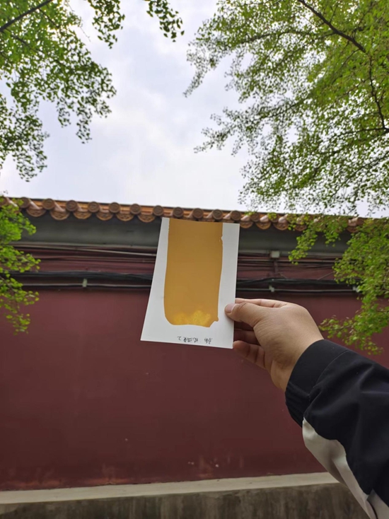 北京中軸線申遺成功，北新建材推出係列文化活動和龍牌漆北京中軸線色係，助力文化遺產(chan) 煥發新活力