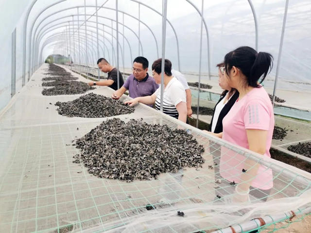 西北永新集團深入鄉(xiang) 村開展流體(ti) 畫體(ti) 驗及幫扶工作