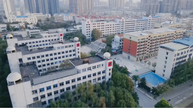 毛雙全：用“實力”攻堅破局，以“創新”開疆擴土！