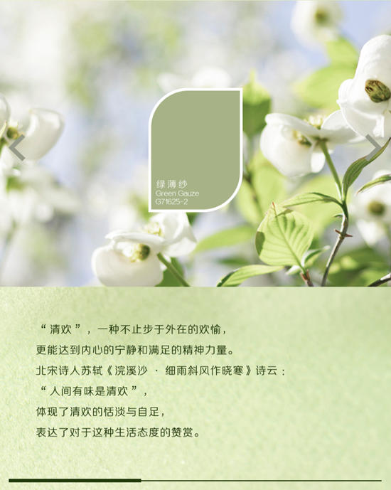 三棵樹2025色彩趨勢正式發布：清歡·綠薄紗