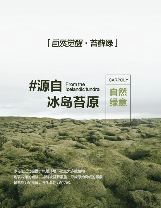 自然覺醒時刻！嘉寶莉2025流行色出爐！