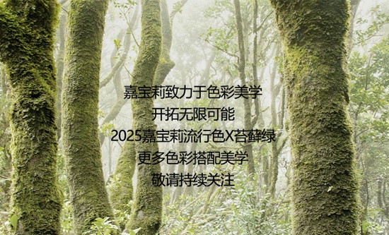 自然覺醒時刻！嘉寶莉2025流行色出爐！