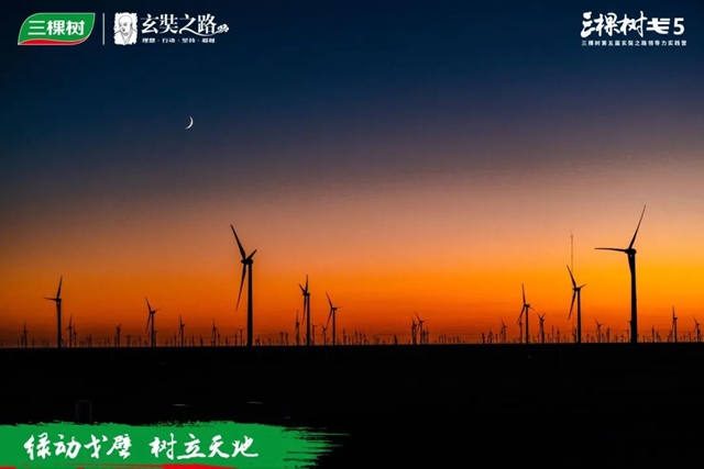 綠動戈壁·樹立天地丨三棵樹戈 5 第三日：角逐榮耀之巔，燃情戈壁無界
