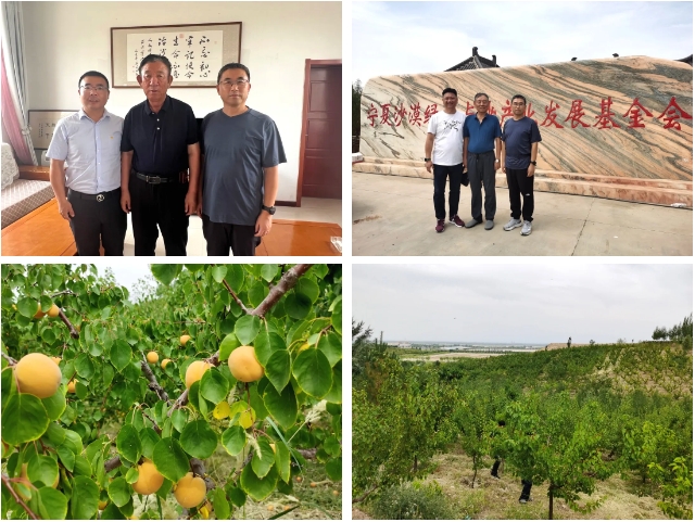 逐沙繪青綠 共築生態夢 | 展辰植樹治沙公益之旅邀您共同開啟！