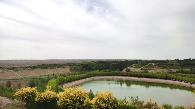 逐沙繪青綠 共築生態夢 | 展辰植樹治沙公益之旅邀您共同開啟！