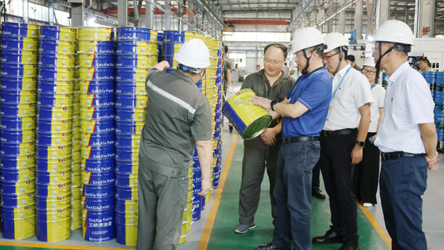 重慶化醫集團紀委書記潘勇調研三峽油漆