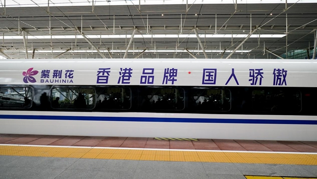 紫荊花上榜2023-2024十大優選家裝塗料品牌