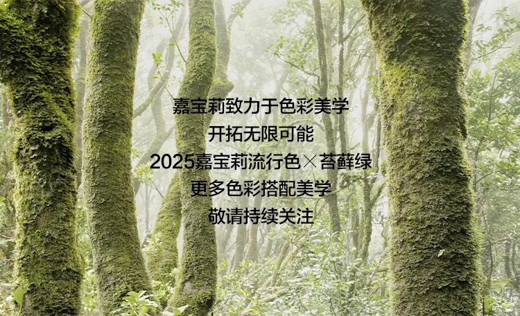 引領審美潮流，嘉寶莉2025流行色重磅發布！