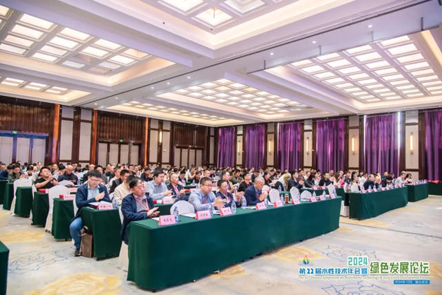 巴德富集團獲“綠色塗料技術可持續發展優秀案例獎”