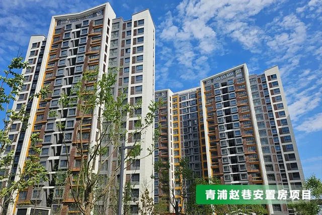 三棵樹亮相上海2024城博會，引領城市綠色發展趨勢