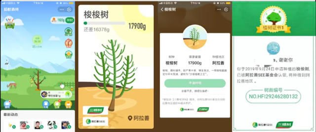 立冬如“槭”而至，三棵樹邀您在螞蟻森林裏種一樹深秋