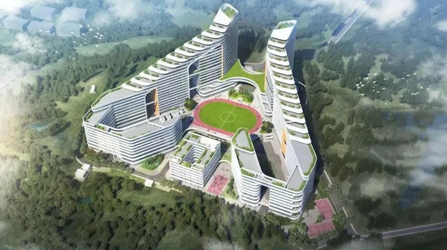 這一建材龍頭企業近日捷報連連！