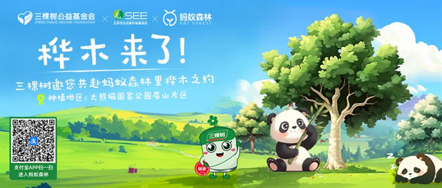 三棵樹榮獲SEE基金會2024年“傑出貢獻獎”