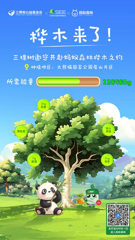 共植希望之“樺”丨三棵樹邀您共赴螞蟻森林裏樺木之約