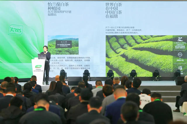 美好同行 品位生活 三棵樹美好生活文創產品發布會圓滿舉行