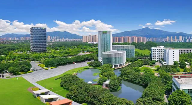 中國品牌實力！三棵樹獲“2024國民品牌優秀案例”