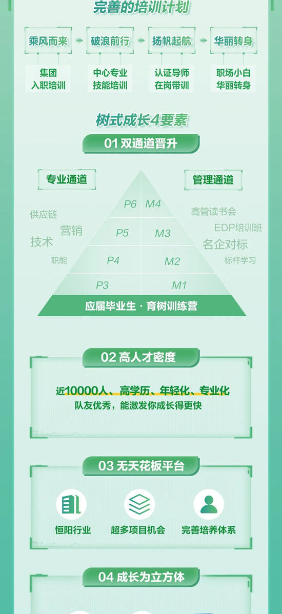 三棵樹2025屆春季校園招聘全麵啟動