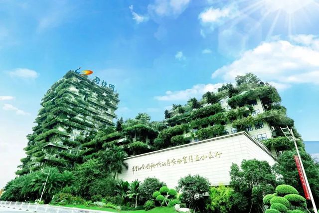 碧橙塗料一片靜悄悄！碧桂園跨界塗料五年後偃旗息鼓？