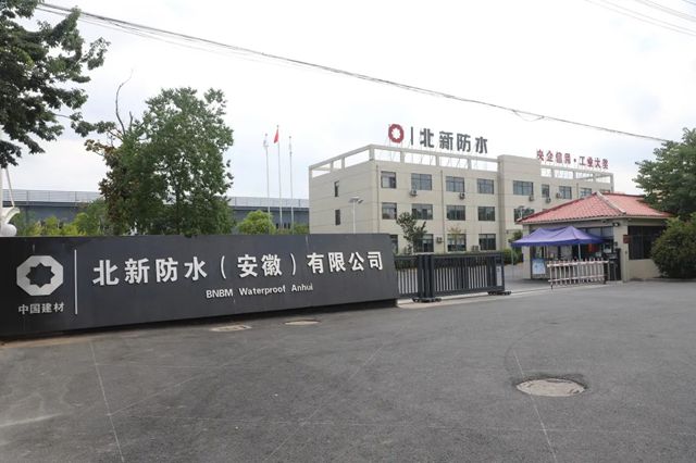 北新防水華東公司：黨建領航創新潮，協同奮進鑄輝煌