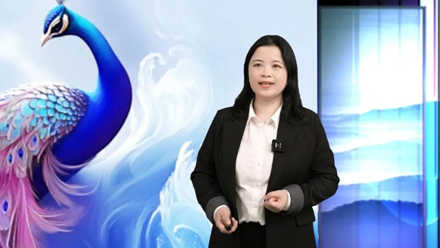 引領行業新潮流！美塗士藝術漆新品發布暨招商會圓滿收官