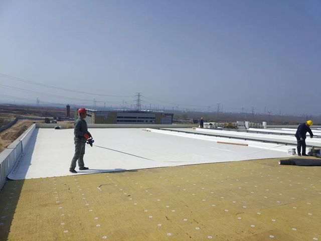 三棵樹TPO防水卷材助力泰安市某物流產業園項目建設