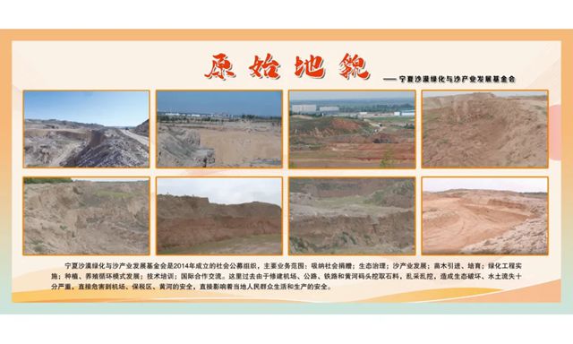 逐沙繪青綠 共築生態夢 | 展辰新材&TATA木門邀您共建“中國家居林”公益項目