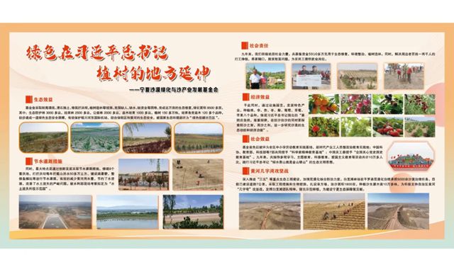 逐沙繪青綠 共築生態夢 | 展辰新材&TATA木門邀您共建“中國家居林”公益項目