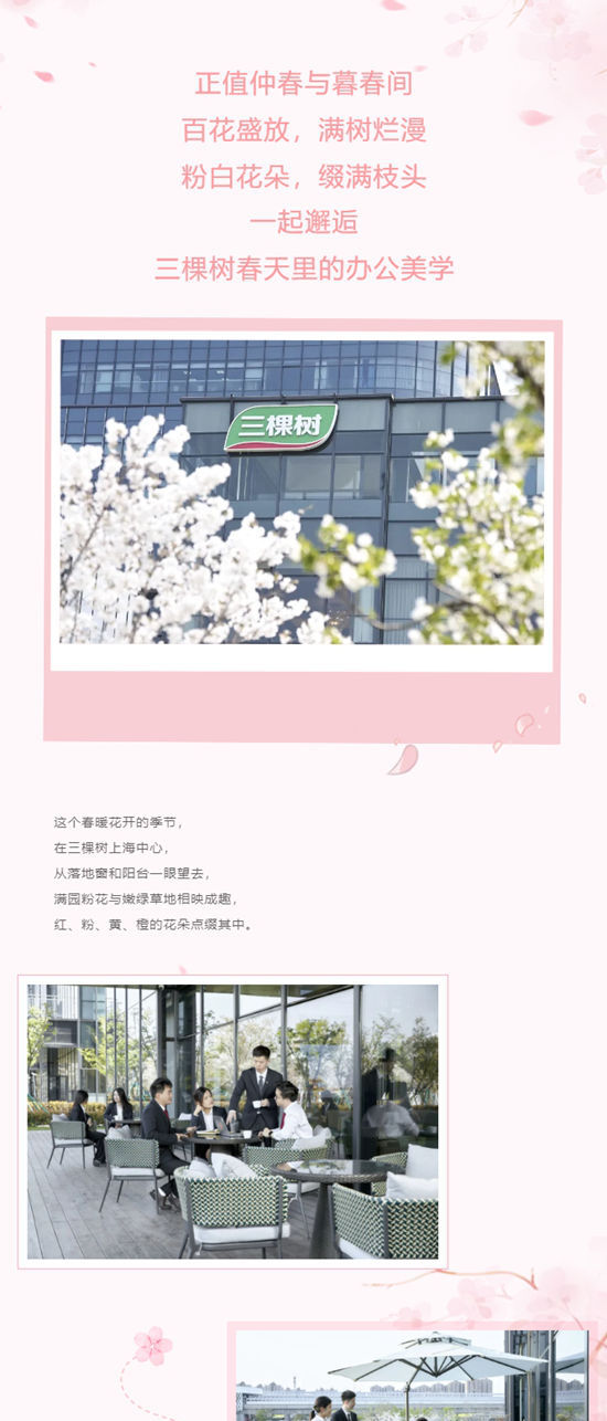 春暖花開時 遇見三棵樹上海中心