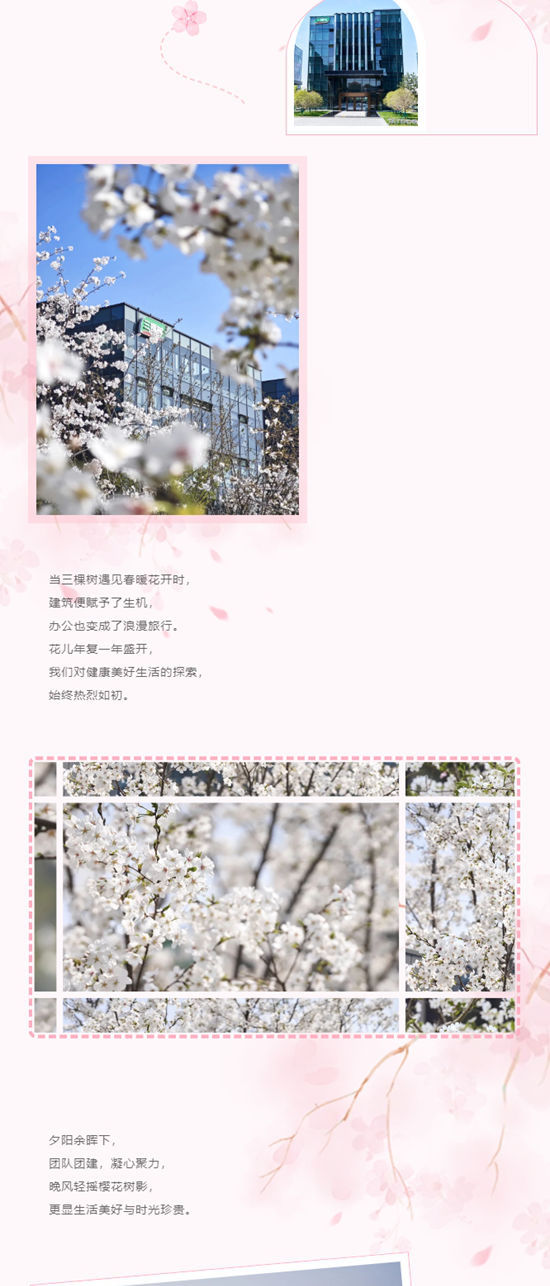 春暖花開時 遇見三棵樹上海中心