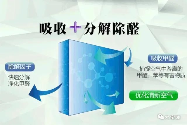 大寶漆：荷竹相伴‧淨護居家│喚醒自然能量