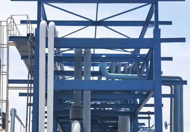 三棵樹工業塗料為上海化工區產業鏈打造長效防腐“鎧甲”，護航綠色生產