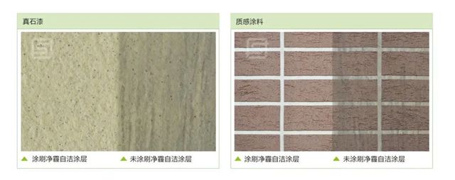 富思特市級勞模張仁哲：以科研匠心踐行綠色使命