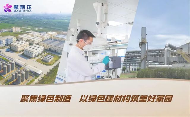 三冠加冕|紫荊花榮膺2025第十六屆金漆獎三項行業大獎