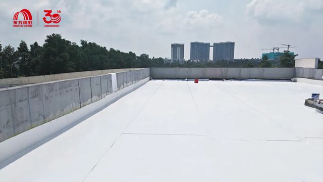 東方雨虹攜手越南BW Industrial集團，共建高標準TPO屋麵係統