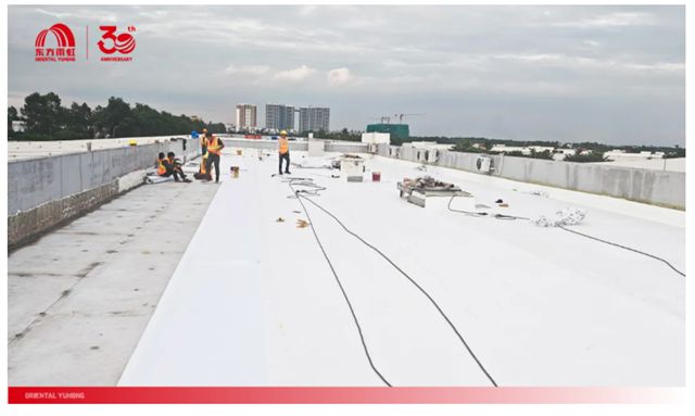 東方雨虹攜手越南BW Industrial集團，共建高標準TPO屋麵係統