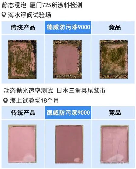 德威塗料船舶節能技術論壇亮相，推動航運綠色發展新篇章