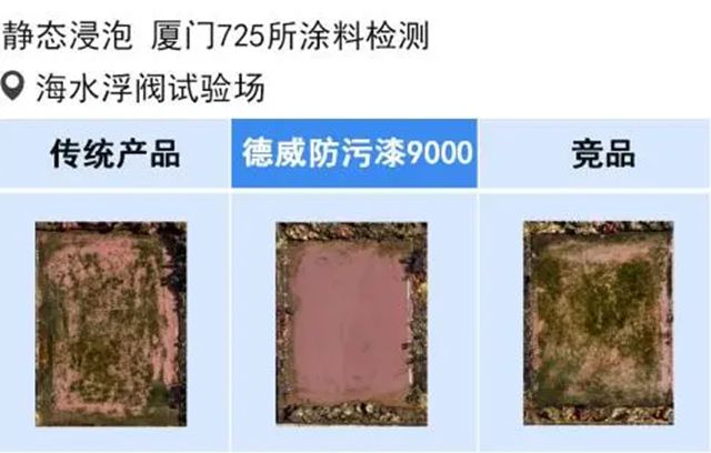 德威塗料亮相船舶技術論壇，以創新節能技術助力航運綠色未來