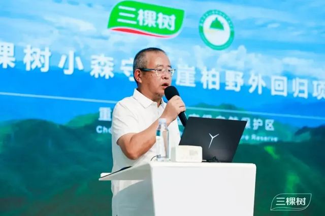 三棵樹小森板戰略升級 開啟健康美學家居空間新時代