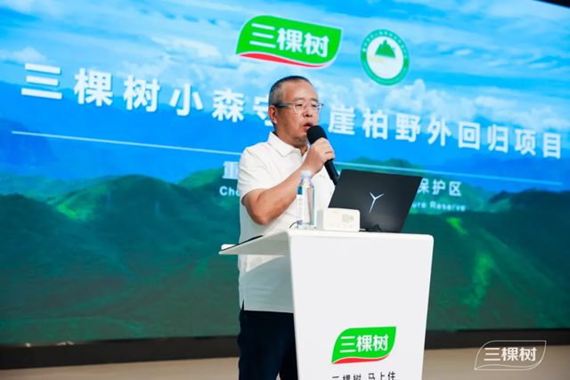 荔誌向上 自然出色丨三棵樹守護珍稀物種，助力崖柏野外回歸