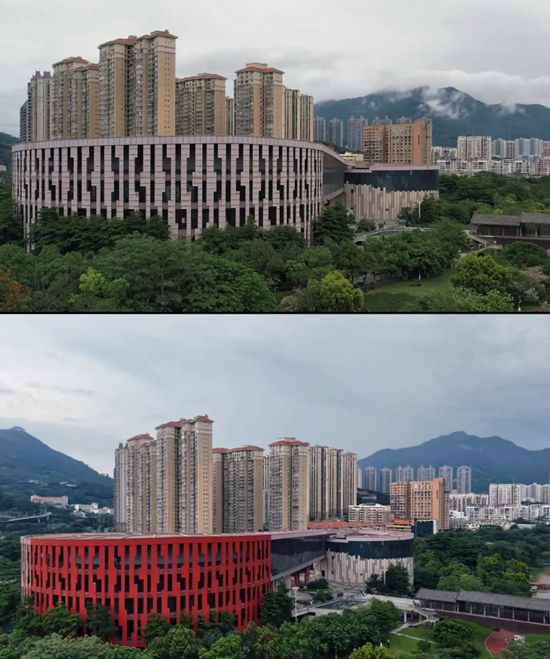 國漆點亮城市文化地標 三棵樹助力莆田市博物館煥新